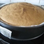 Lagkage kommet ud af ovnen