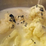 Blomkål, vanille, mælk og vand Blomkål, vanille, mælk og vand