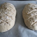 Brød klar til ovnen